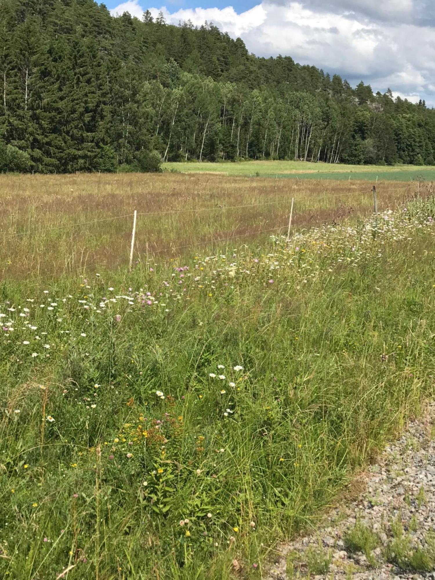 Charmigt Aeldre Hus, Laddbox 22 Kw, 5 Bil-Minuter Till Bad Стромстад Экстерьер фото